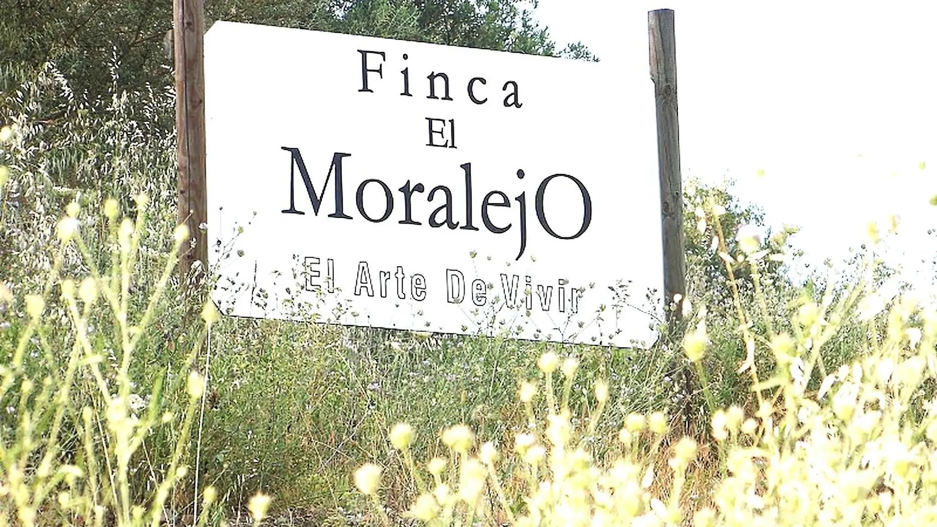 Holiday home Rural Cottage, With Pool & Optional Private 6 Guests Jacuzzi Tolox